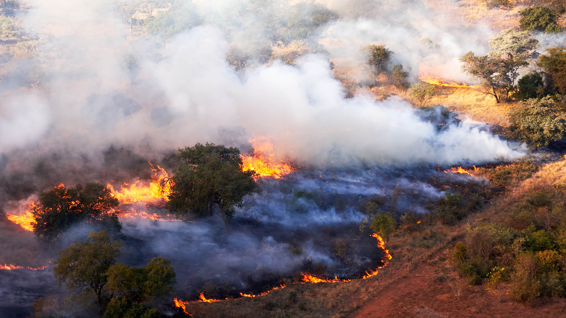 Firebreaks • Working on Fire